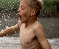 De Witte van Sichem (Whitey) st...